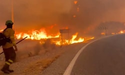 Einsatzkräfte kämpfen gegen die Flammen.