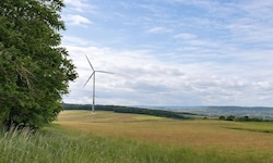 Das Thema Windkraft ist in Traismauer besonders kompliziert – auch wegen der Anzahl der ...