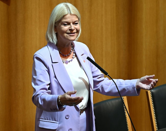 Verteidigungsministerin Klaudia Tanner (ÖVP)