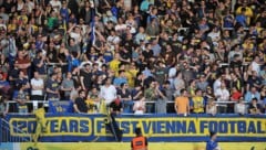 Auf die Fans der Vienna wartet am Samstag im Testspiel gegen die Queens Park Rangers ein echter ...