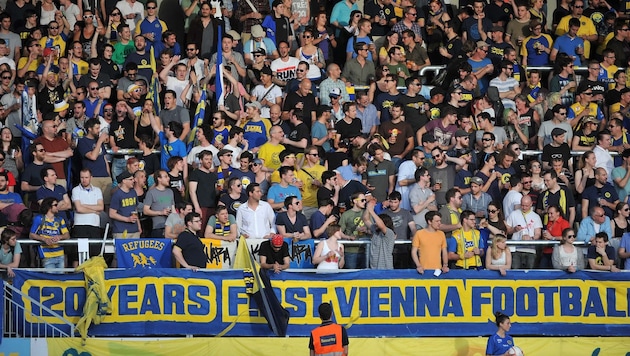 Auf die Fans der Vienna wartet am Samstag im Testspiel gegen die Queens Park Rangers ein echter ...