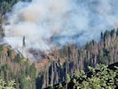 Der Waldbrand in Virgen in Osttirol dürfte bald gelöscht sein.