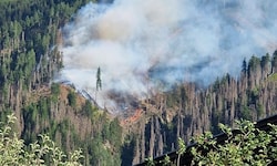 Der Waldbrand in Virgen in Osttirol dürfte bald gelöscht sein.