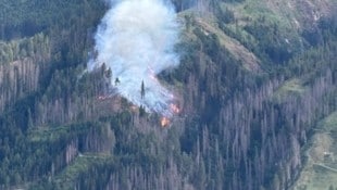 In diesem Waldstück tobt das Feuer.