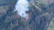 In diesem Waldstück tobt das Feuer.