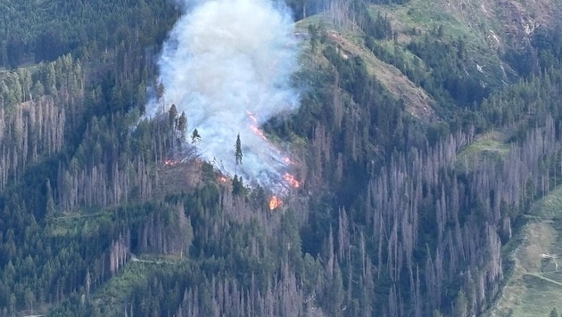In diesem Waldstück tobt das Feuer.