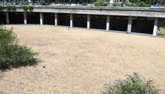 Vor allem Wien (im Bild der Votivpark) kämpft derzeit mit Trockenheit.