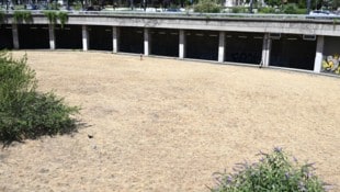 Vor allem Wien (im Bild der Votivpark) kämpft derzeit mit Trockenheit.