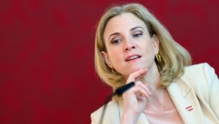 Ex-Parteikollege und NEOS-Mitbegründer Veit Dengler macht Beate Meinl-Reisinger schwere ...