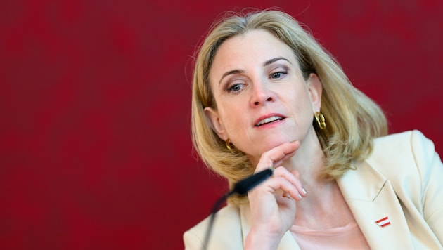 Die Regierungsverantwortung stellt die NEOS auf die Probe. Kann die Partei ihren ursprünglichen ...