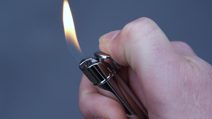 Ein Detail im ersten Fall: Der Täter soll mit seinem Feuerzeug trockenes Laub auf einer Böschung ...