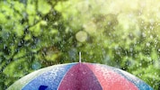 24 bis 31 Grad: So wird der Sonntag