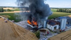Der Maststall wurde ein Raub der Flammen.