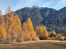 Drei Projekte zur Wiederherstellung von Larchwiesen in der Gemeinde Reith bei Seefeld wurden ...