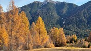 Drei Projekte zur Wiederherstellung von Larchwiesen in der Gemeinde Reith bei Seefeld wurden ...