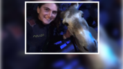 Die Polizei mit einem der entlaufenen Tiere