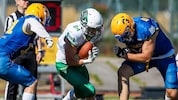 Die Grazer Giants kämpfen um den ersten Einzug in die Austrian Bowl seit zehn Jahren.