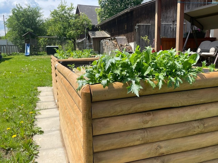 Ein Balkon oder ein eigener Garten sind heute zentrale Wünsche bei der Wohnungssuche.