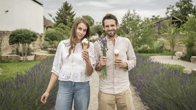 Lavendeleis, Lavendel-Sekt – Die Eröffnung des Besuchergartens bei Stefan Zwickl in ...