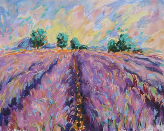Ein Meer aus Farbe und Licht: Lavendelfeld von Max Gangl