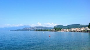Am Gardasee in Italien ist die Gemeine Flusskrabbe wiederentdeckt worden.