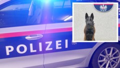 Der Polizeihund „Karla“