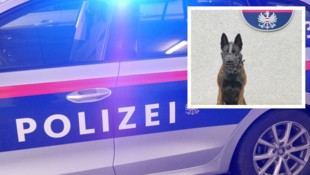Der Polizeihund „Karla“