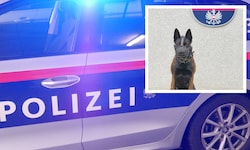 Der Polizeihund „Karla“
