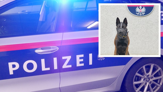 Der Polizeihund „Karla“
