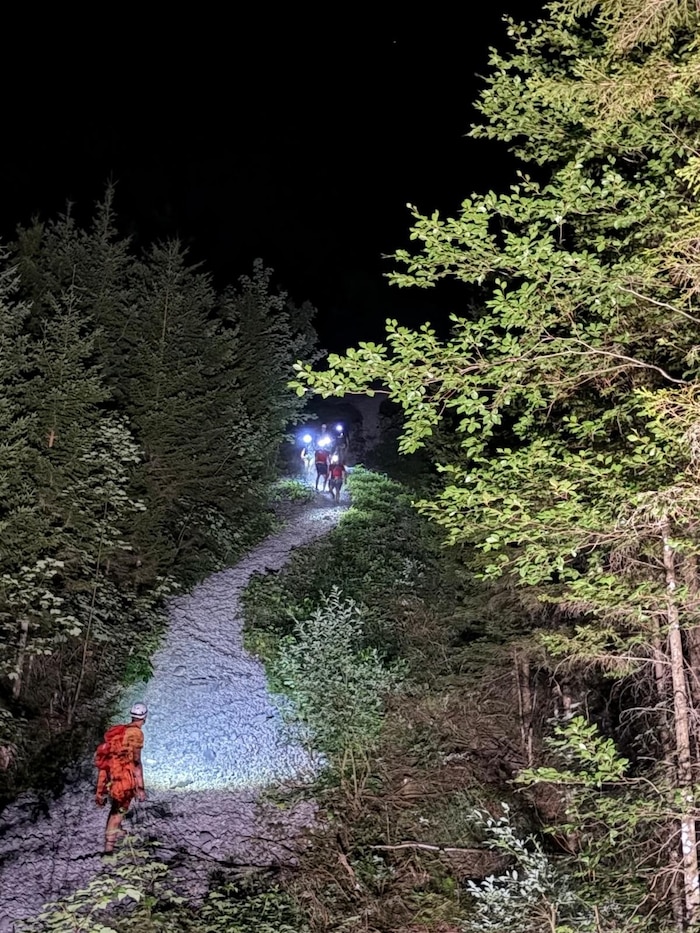 Im Dunkeln konnte das Pärchen unverletzt geborgen werden.