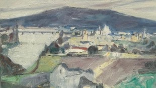 Hans Keplinger: Blick auf Linz