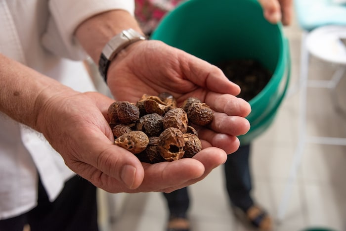Die Wäsche wird mit Waschnüssen gewaschen.