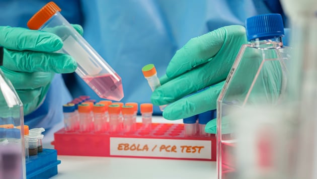 Ende Juni war das Bundibugyo-Virus erstmals in Europa nachgewiesen worden.