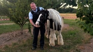 Erst mithilfe der Besitzer konnten die Feinschmecker im Obstgarten eingefangen werden. 