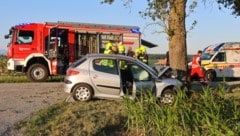 Der Wagen war frontal auf den Baum gekracht.