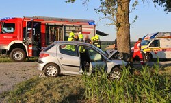 Der Wagen war frontal auf den Baum gekracht.