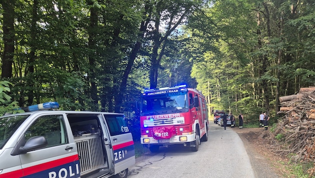 Dutzende Einsatzkräfte suchten am Sonntag nach dem Abgängigen.