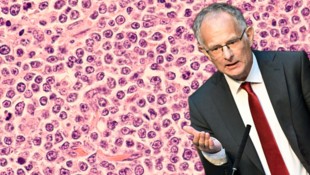 Finanzminister Marterbauer ist an einem Lymphom (Blutkrebs) erkrankt.