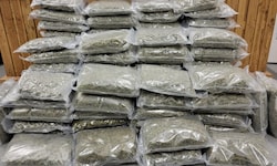Die EGS stellte bei den beiden Einsätzen rund 70 Kilogramm Marihuana sicher.