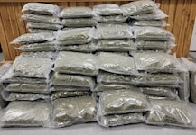 Die EGS stellte bei den beiden Einsätzen rund 70 Kilogramm Marihuana sicher.