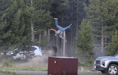 Der 65-Jährige hatte gegen den Bison keine Chance.