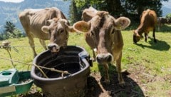 Viele Alpen im Ländle müssen mit Wasser aus dem Tal beliefert werden.