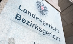 Für die Bestellung der fachkundigen Laienrichter hätte es die Vollversammlung gebracht.