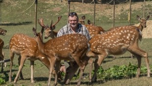 Manfred Passeil kämpft mit ganzer Kraft um das Leben seiner Tiere.