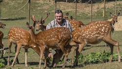 Manfred Passeil kämpft mit ganzer Kraft um das Leben seiner Tiere.