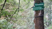 Der 23-Jährige verunglückte beim Einstieg.