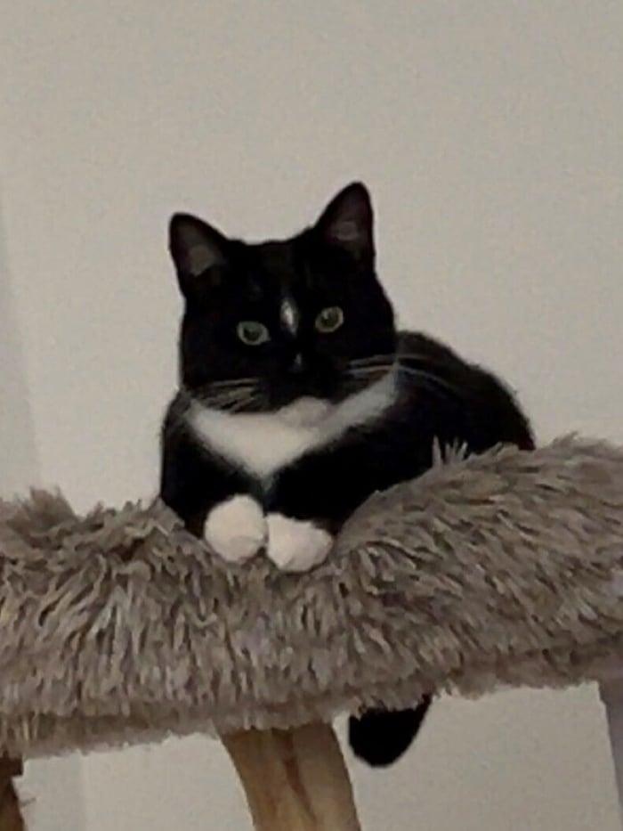Luna fehlt so sehr.