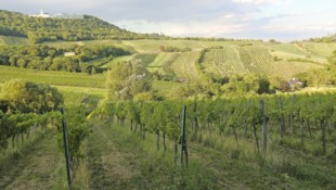 Wienerwald-Idylle mit einem Wirtshaus weniger. 