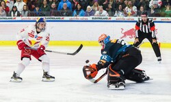 War in Salzburg ein verlässlicher Scorer: Troy Bourke.