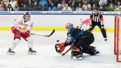 War in Salzburg ein verlässlicher Scorer: Troy Bourke.